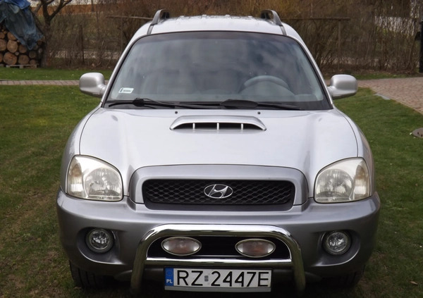 Hyundai Santa Fe cena 14700 przebieg: 292125, rok produkcji 2003 z Rzeszów małe 137